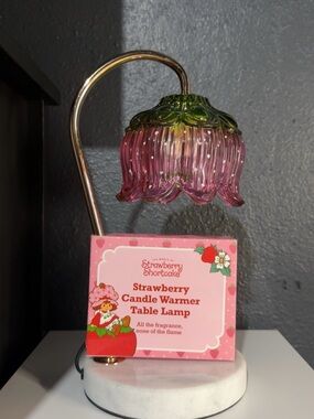Strawberry Shortcake Pink Glads Candle warmer  Lamp